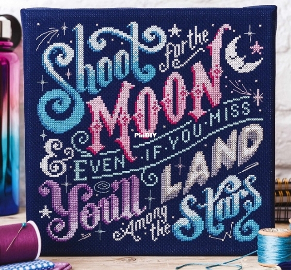 Emma Congdon - Shoot for the Moon - CSC 241.jpg