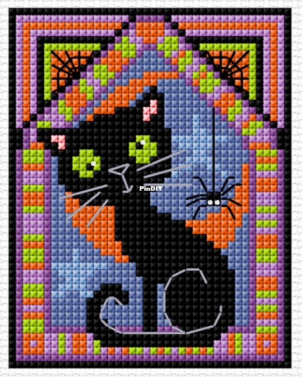 Black Cat (1).jpg