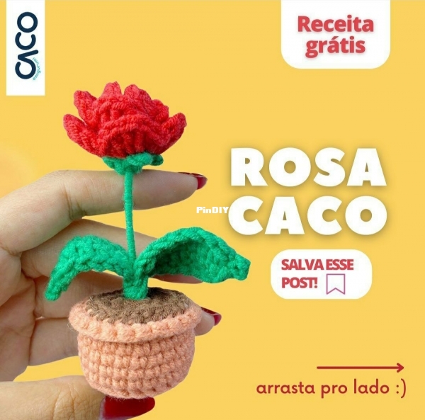 Caco - Rosa.jpg