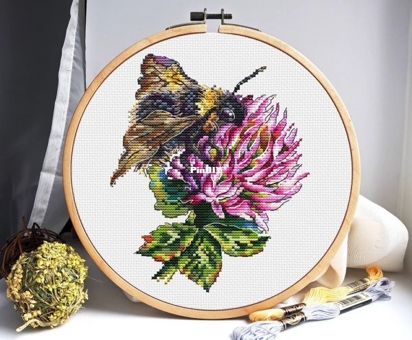 Clover and Bee.jpg