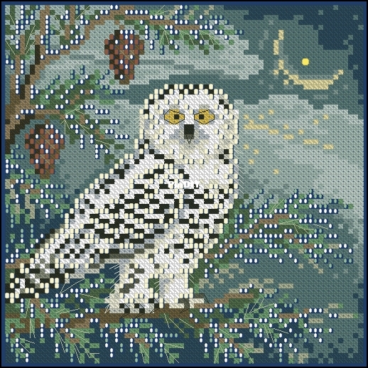 MH14-4304 - Winter Series - Snowy Owl.jpg