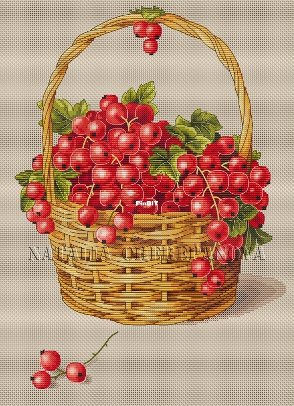 Черепанова смородина.jpg