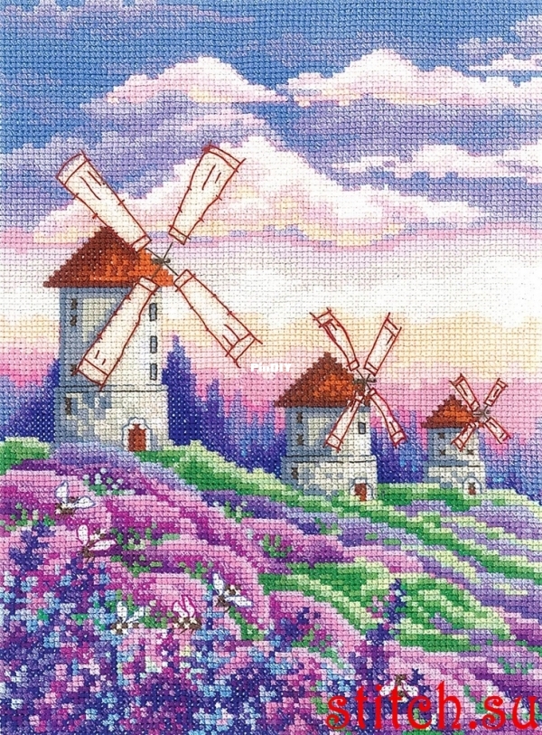 55467.jpg