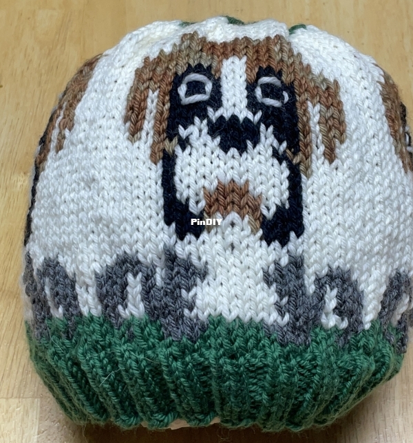 4-Boxer1.jpg