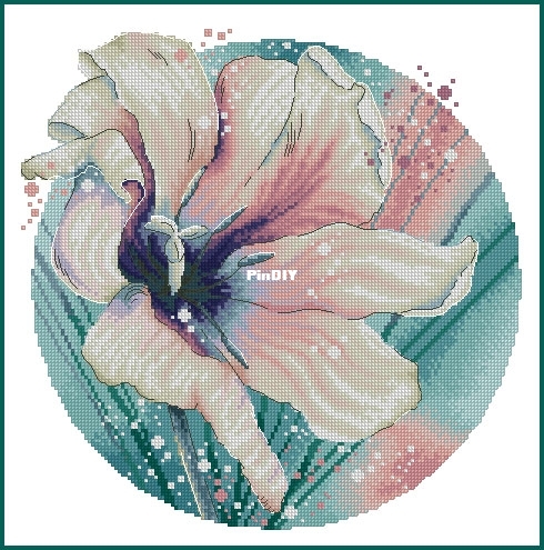 Tulip_Irina_Dargele.jpg