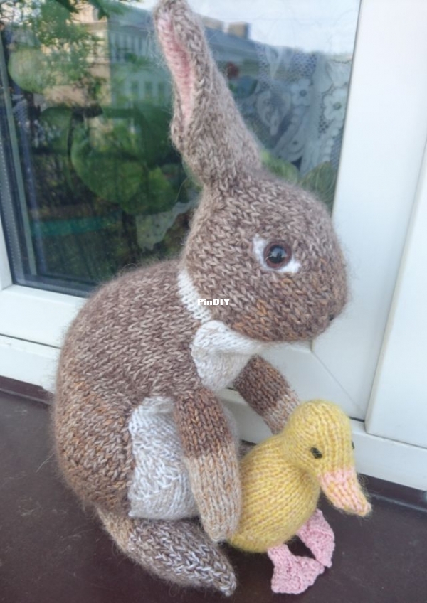 wild rabbit3.jpg