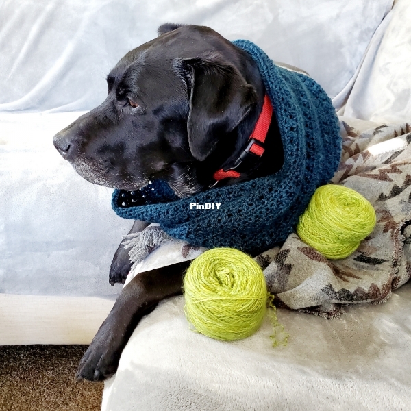 moebius_cowl_snood.jpg