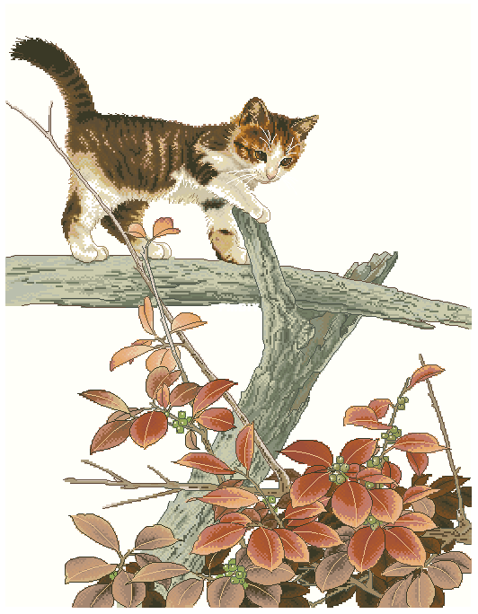 Kitty.png