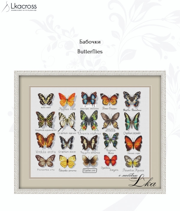 butterflies.jpg
