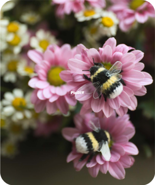 Little Bumblebee