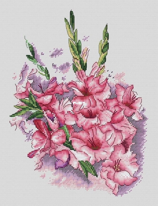 Gladioli.jpg