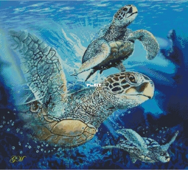 Черепанова черепахи .jpg