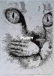 download.jpg