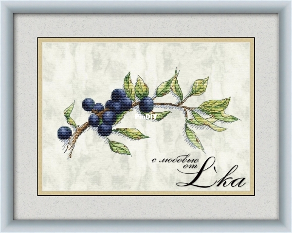 Blueberry.jpg