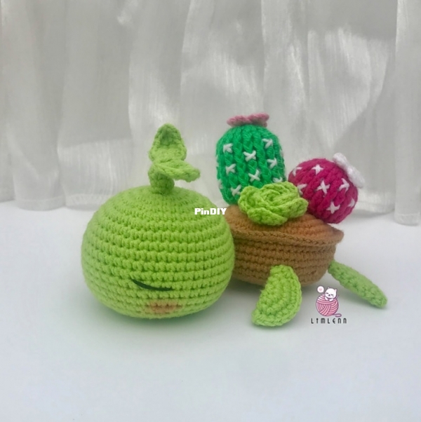 Lim Lenn Cute Turtle with Cactus and Succulent Plant.jpg