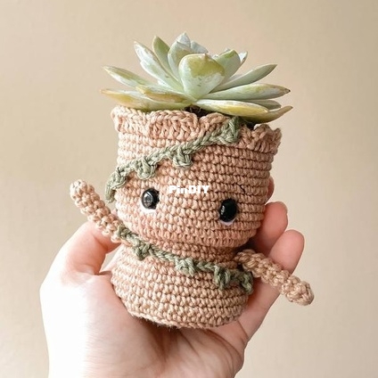 Linhas de Algodão - Andreza Andrade - Amigroot plant pot.jpg