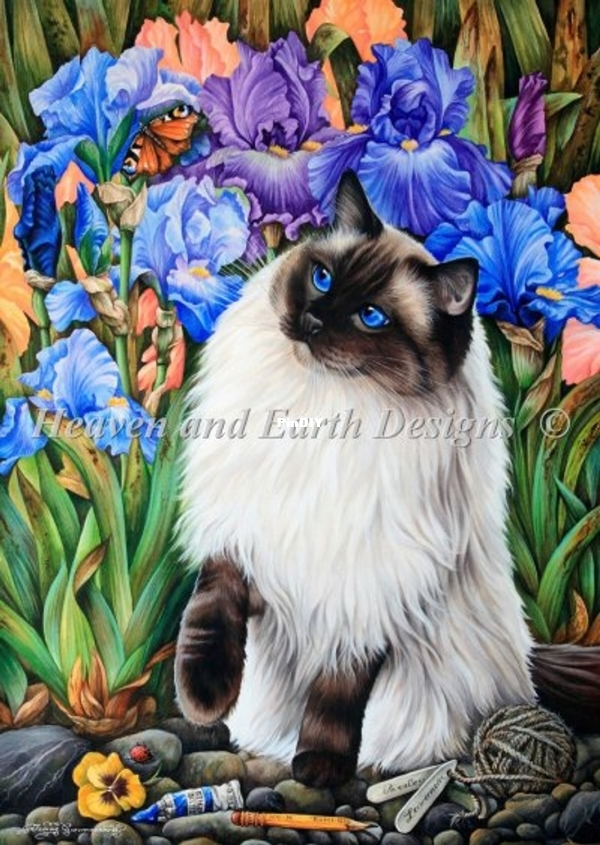 garmashova - amongst the irises.jpg