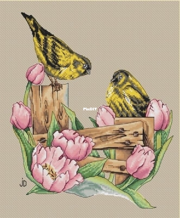 two siskins on the fence.jpg