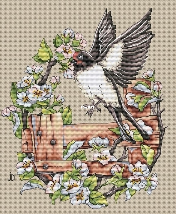 Swallow on the fence.jpg