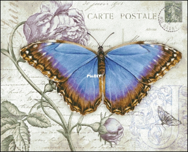 Chimera-17958-Butterfly Vintage 2.jpg