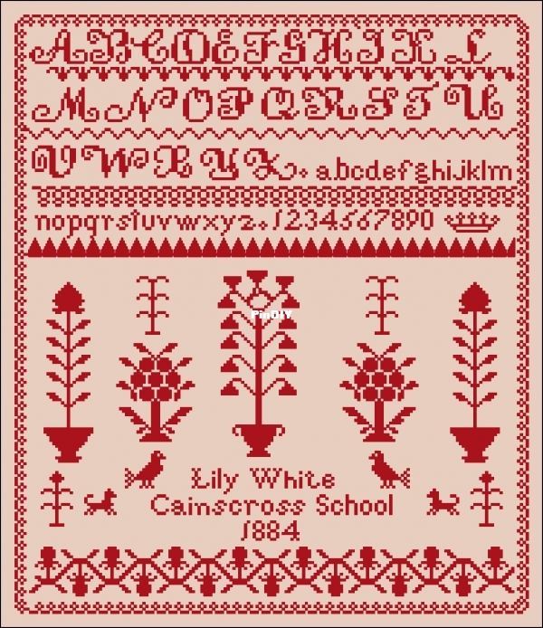 Lily White 1884.jpg