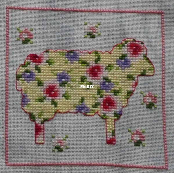 Sheep.jpg