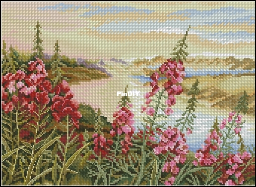 M881 Where the Fireweed Blooms.jpg