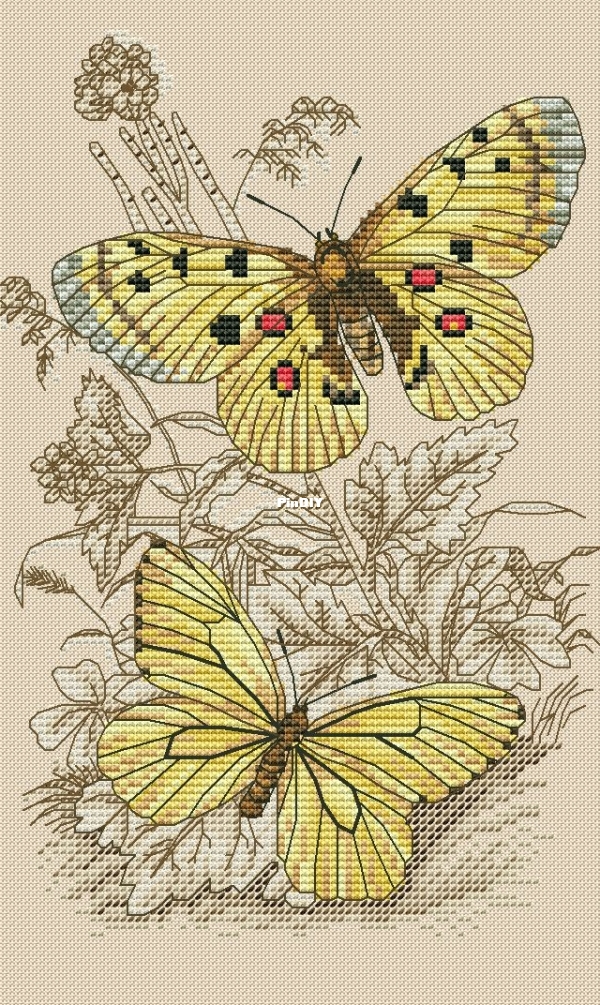 Butterflies.jpg