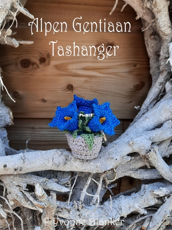 Alpen Gentiaan Tashanger - Yvonne Blanker.jpg