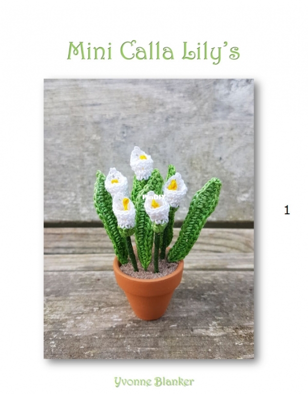 Mini Calla Lily&#039;s - Yvonne Blanker.jpg