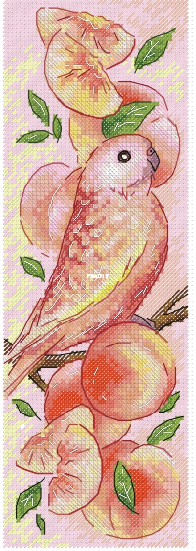 Peach parrot.xsd.jpg