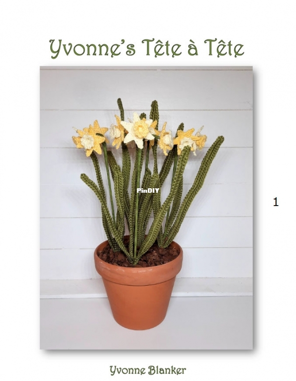 Narcis Tête à Tête - Yvonne Blanker.jpg