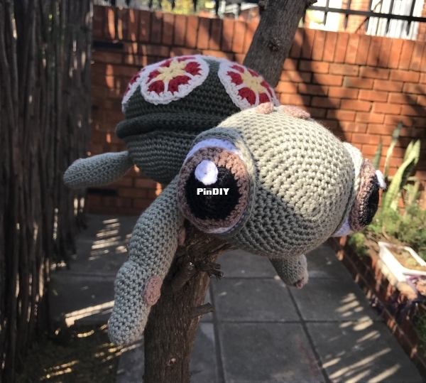 Turtle 