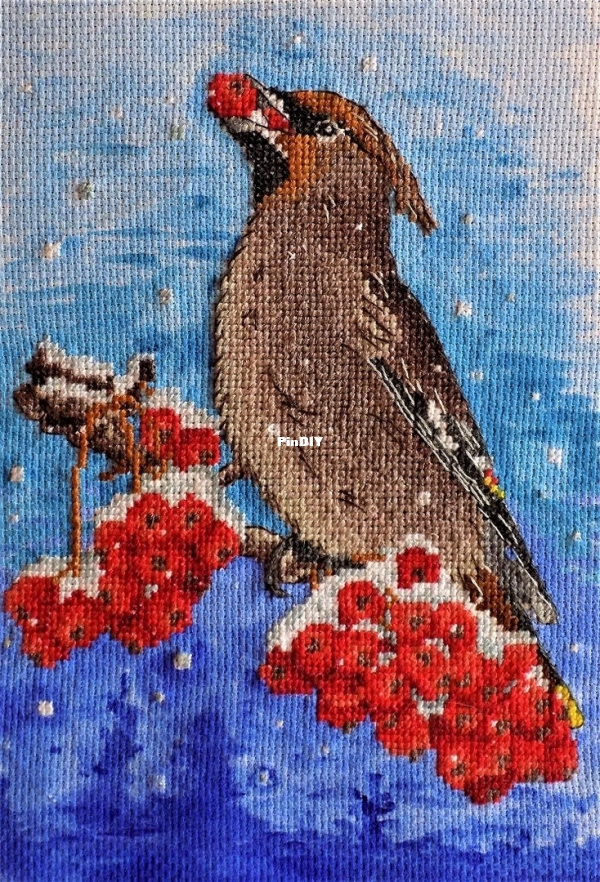 СВИРИСТЕЛЬ_ОБЫКНОВЕННАЯ (ПО СХЕМЕ СЕРАФИМЫ .jpg