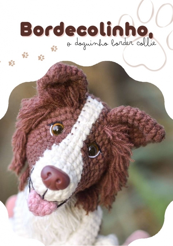 Lamigu Dog Border Collie_1.jpg