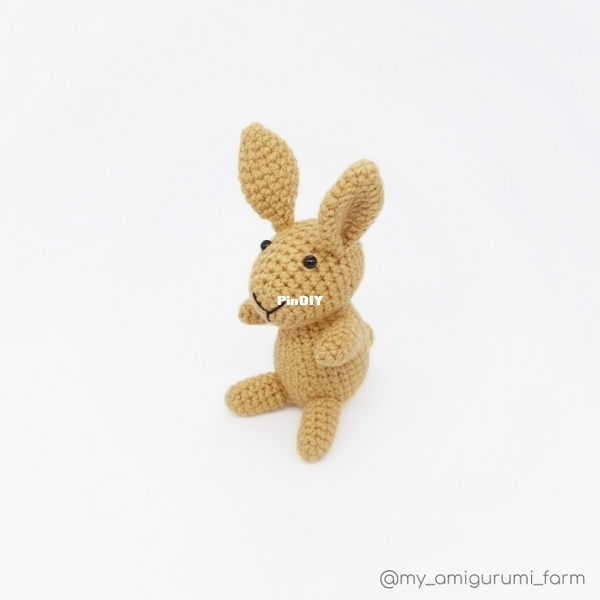 My Amigurumi Farm Bunny.jpg