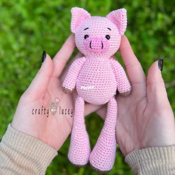 Crafty Lacey Pig 1.jpg