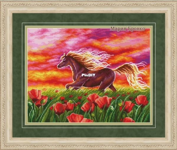 Horse on such field.jpg