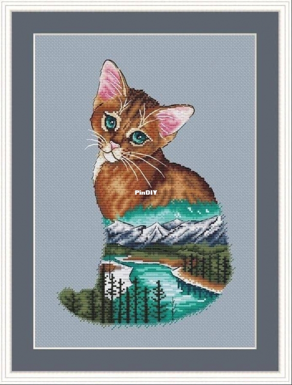 Abyssinian cat.jpg