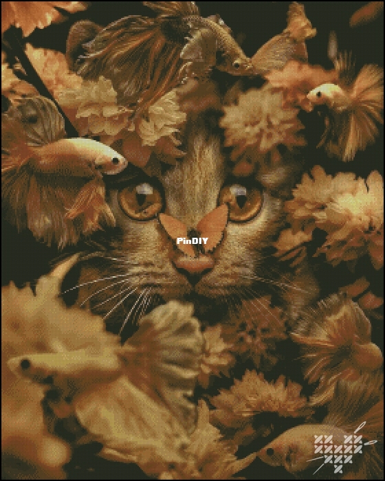 The secret of thickets of orange chrysanthemums.jpg