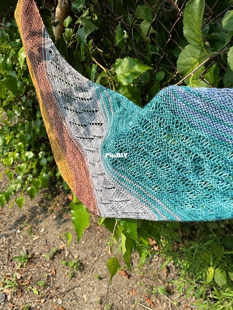 image1_medium2.jpeg