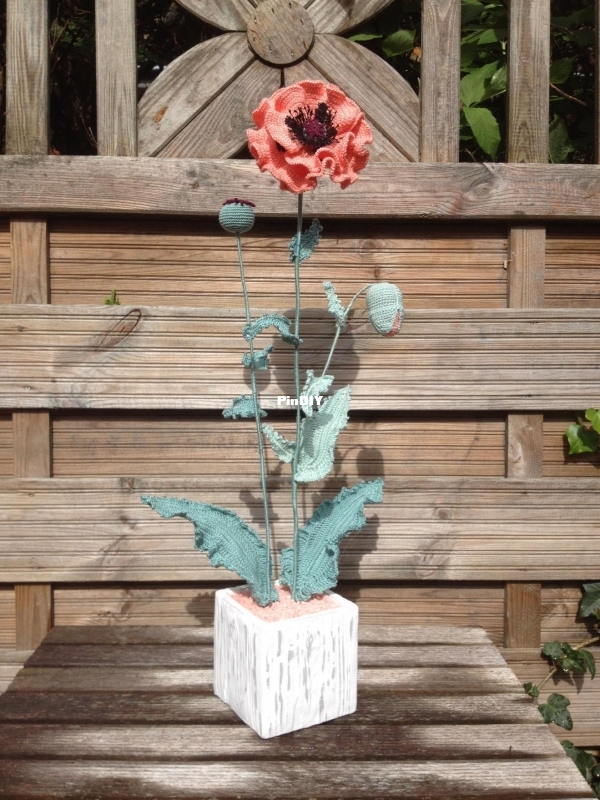 Papaver Oriëntale Copyright Yvonne Blanker.jpg