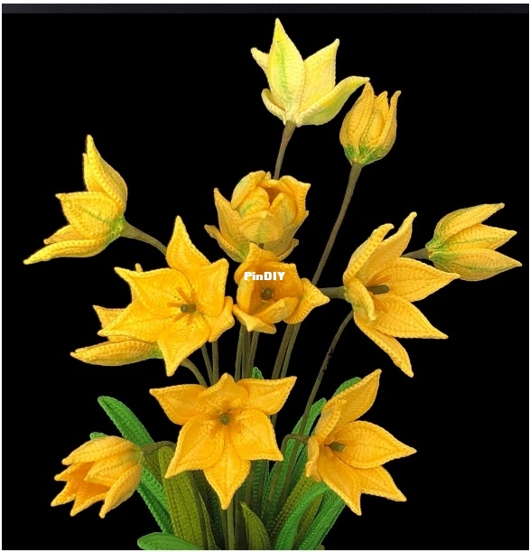 wilde tulp alberta.jpg