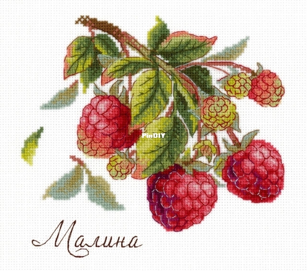 малина.jpg