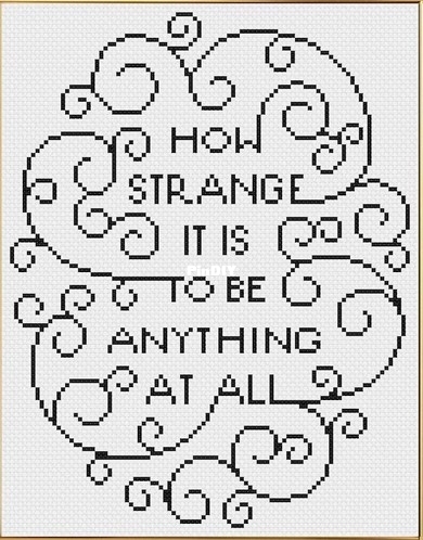 howstrangeitis.jpg