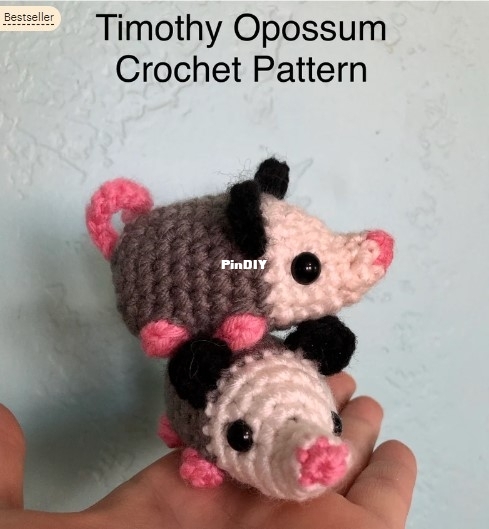 Timothy Opossum - Sasha N. McElroy.jpg