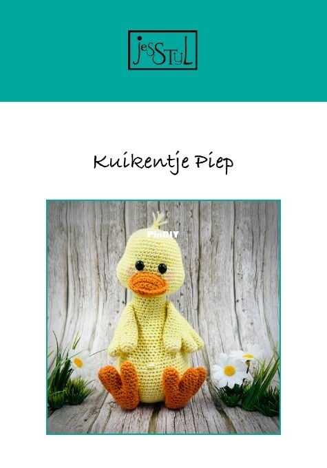 kuiken piep.JPG