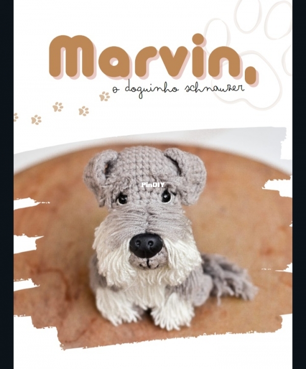 Marvin Schnauzer Portuguese 