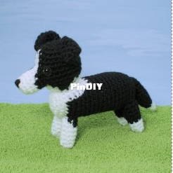 Collie Dog
