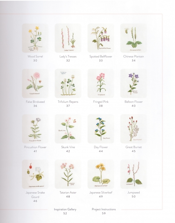 wildflowers and grasses (7).jpg